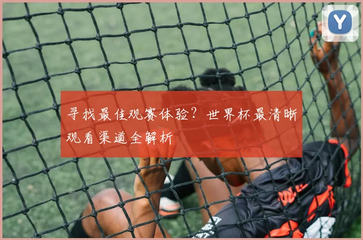 寻找最佳观赛体验？世界杯最清晰观看渠道全解析