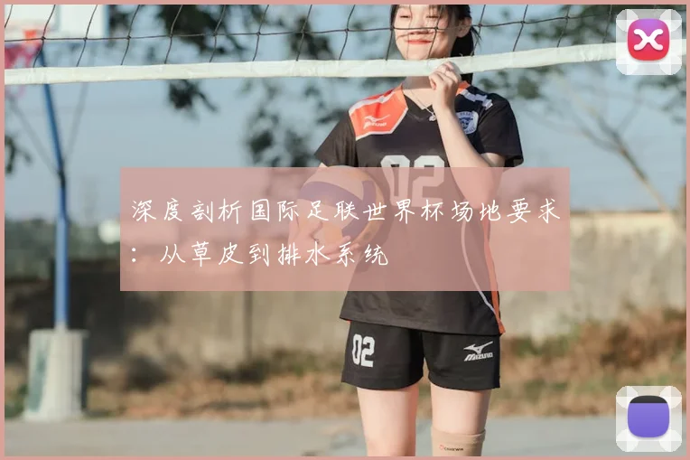 深度剖析国际足联世界杯场地要求：从草皮到排水系统