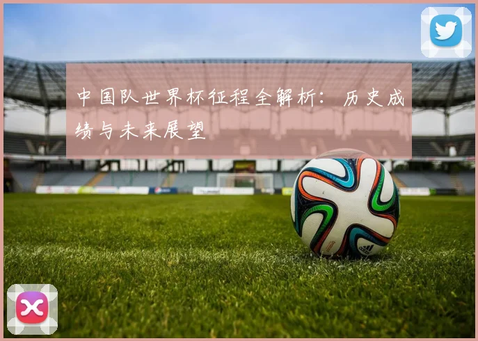 中国队世界杯征程全解析：历史成绩与未来展望
