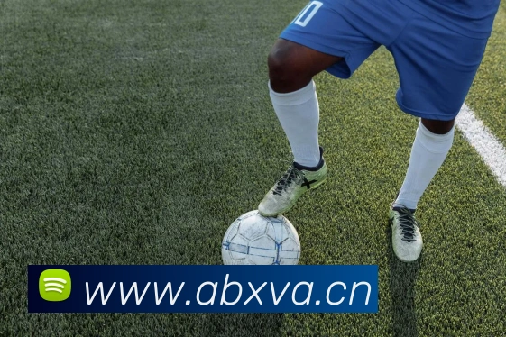 多媒体互动体验